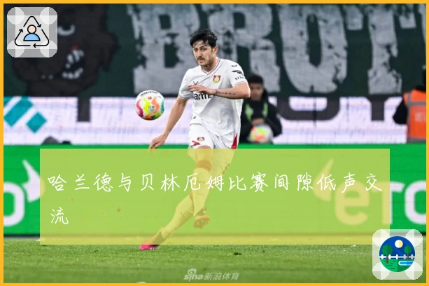 哈兰德与贝林厄姆比赛间隙低声交流